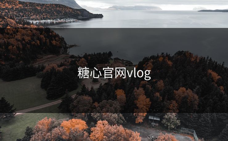 糖心官网vlog 糖心官网vlog