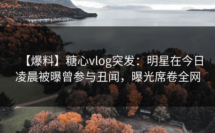 【爆料】糖心vlog突发：明星在今日凌晨被曝曾参与丑闻，曝光席卷全网