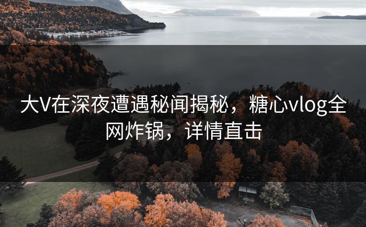 大V在深夜遭遇秘闻揭秘，糖心vlog全网炸锅，详情直击