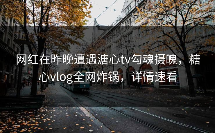 网红在昨晚遭遇溏心tv勾魂摄魄，糖心vlog全网炸锅，详情速看